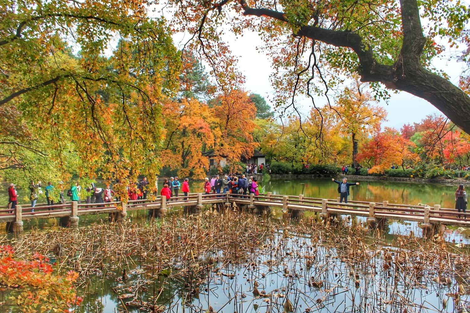 Mùa thu ở Tô Châu