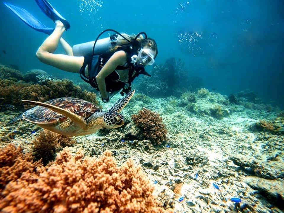 Trải nghiệm lặn biển tại Đà Nẵng