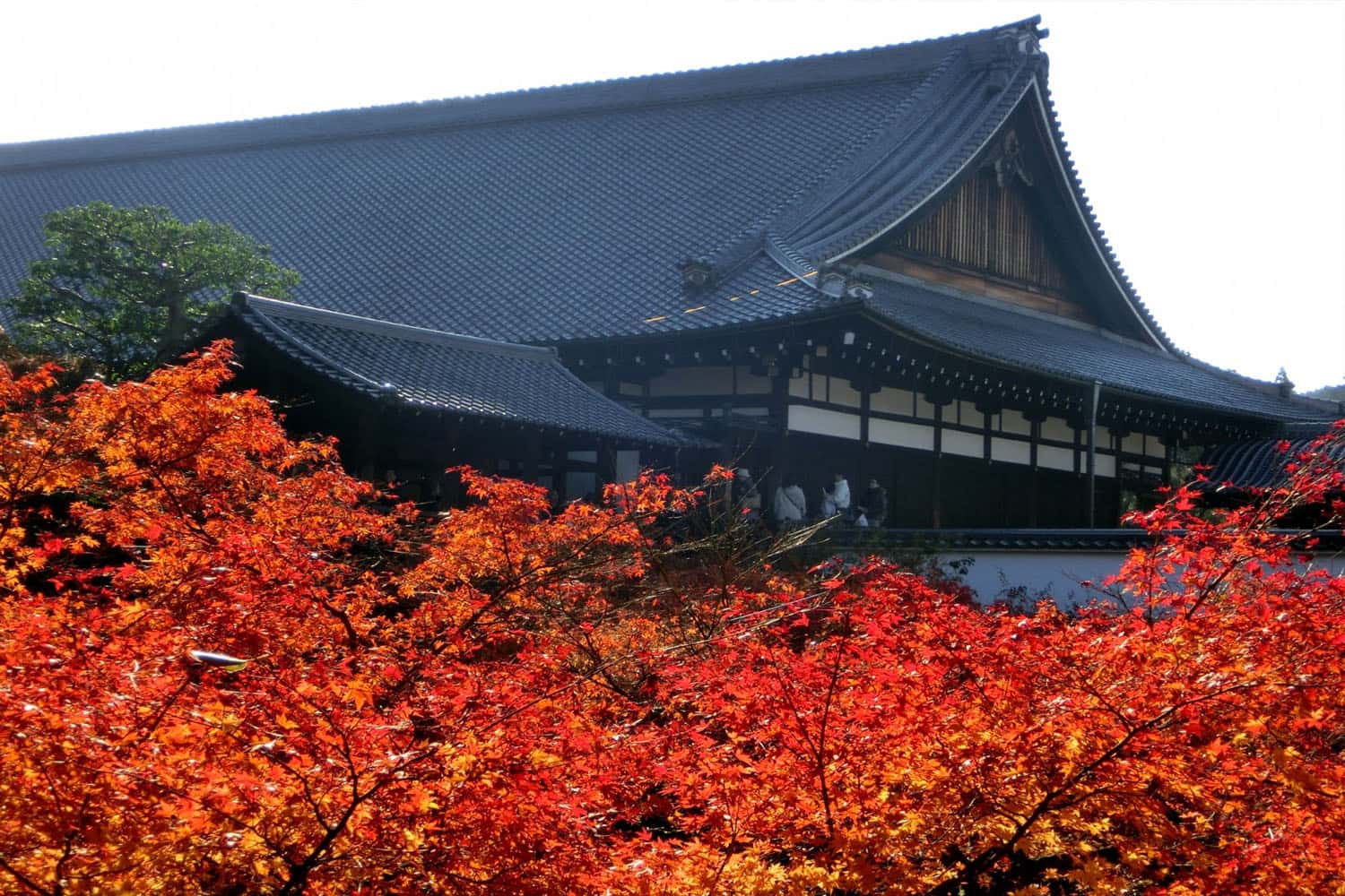 Tofukuji Temple
