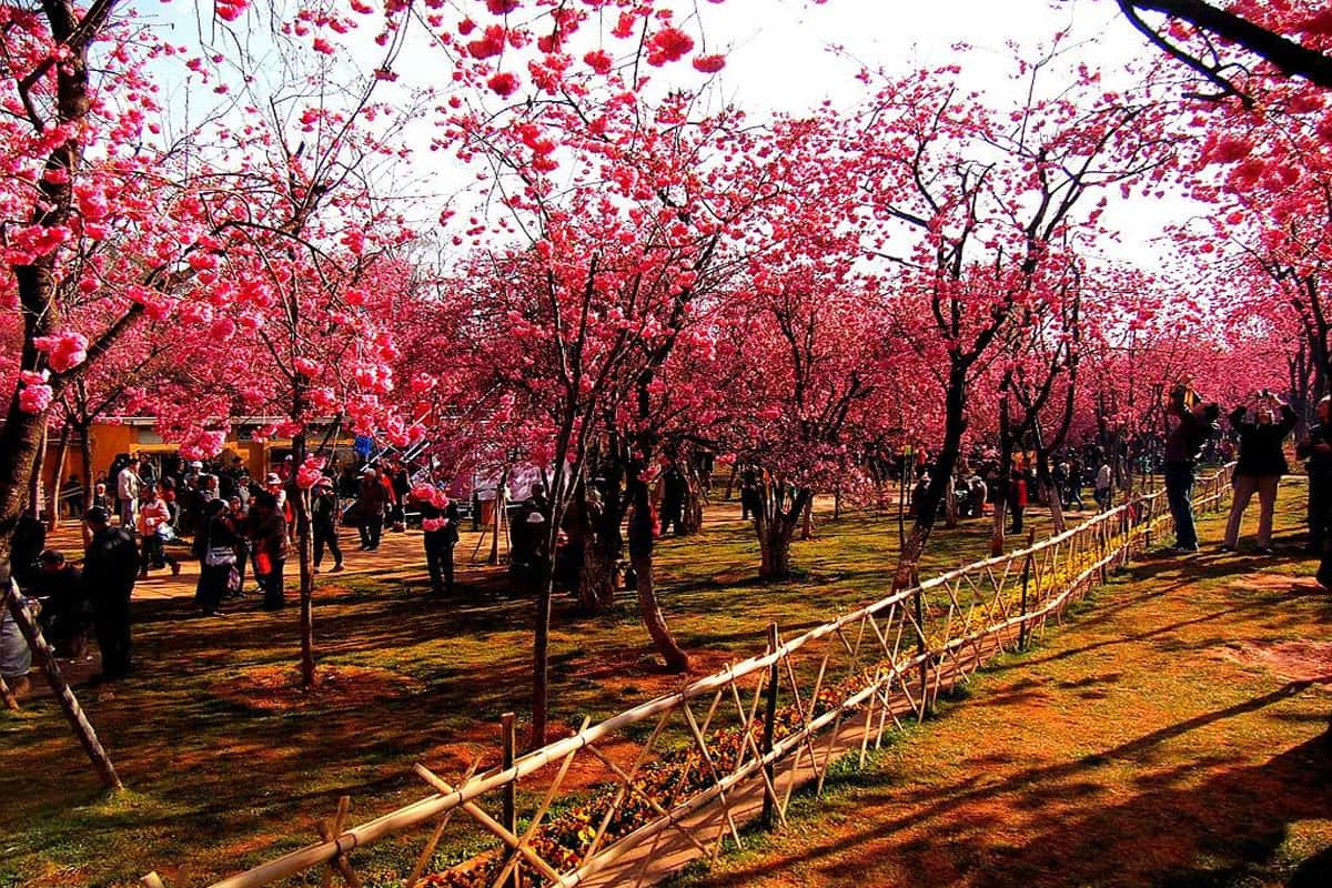 Thời tiết Côn Minh vào tháng 2