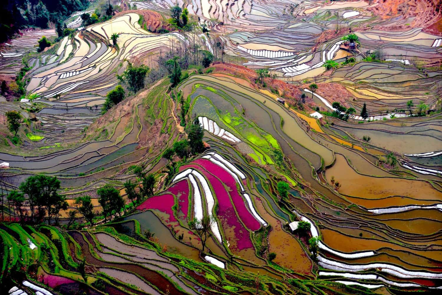 Ruộng bậc thang Yuanyang