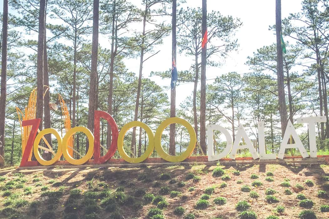 Vườn thú Zoodoo
