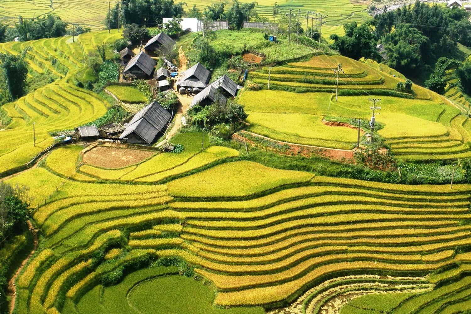 Bản Lao Chải
