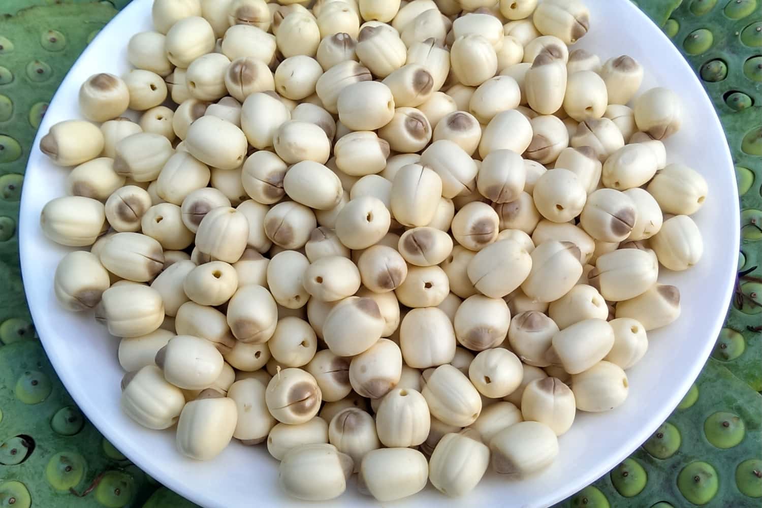 Ảnh sưu tầm
