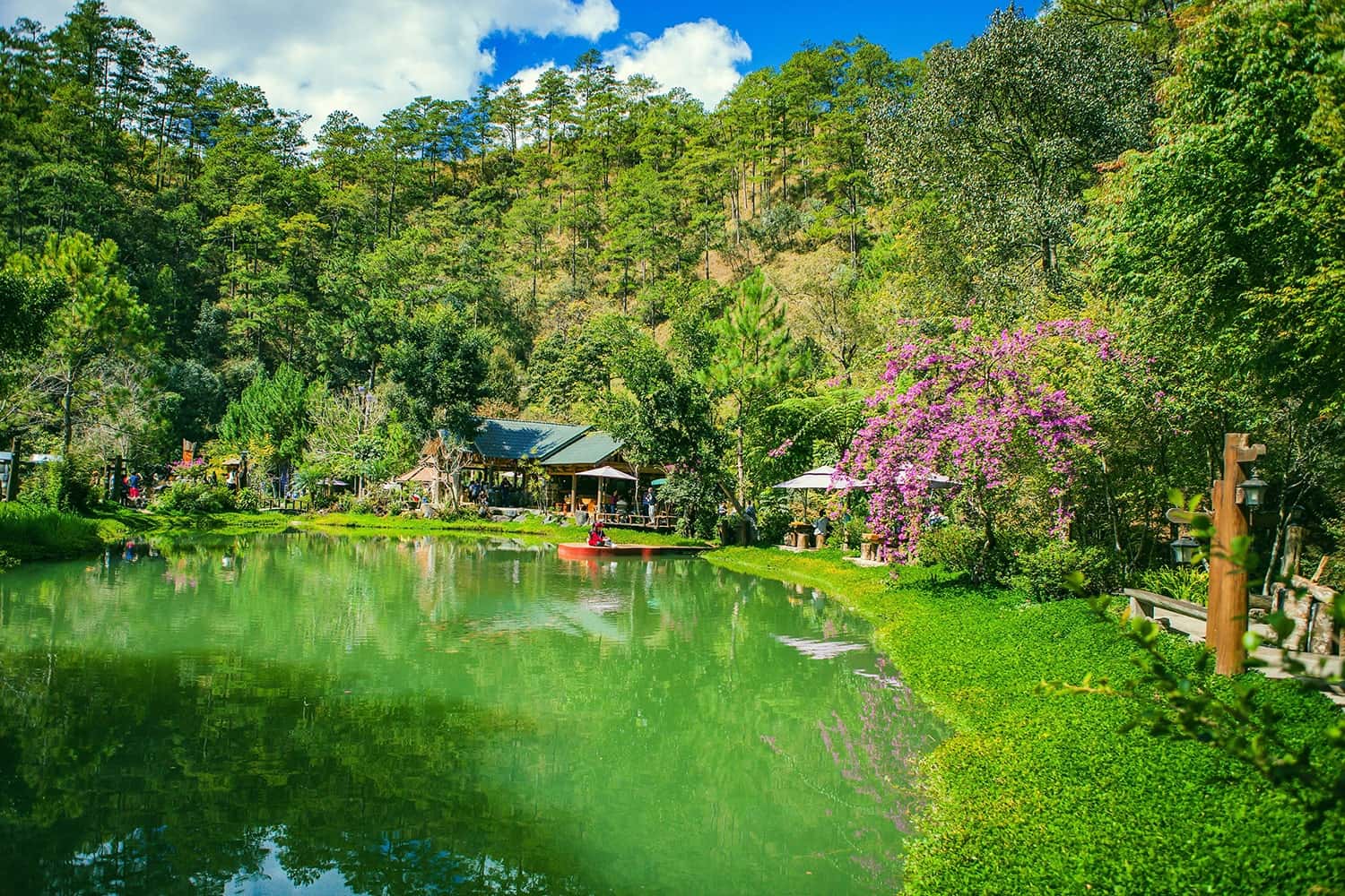Ma rừng Lữ Quán