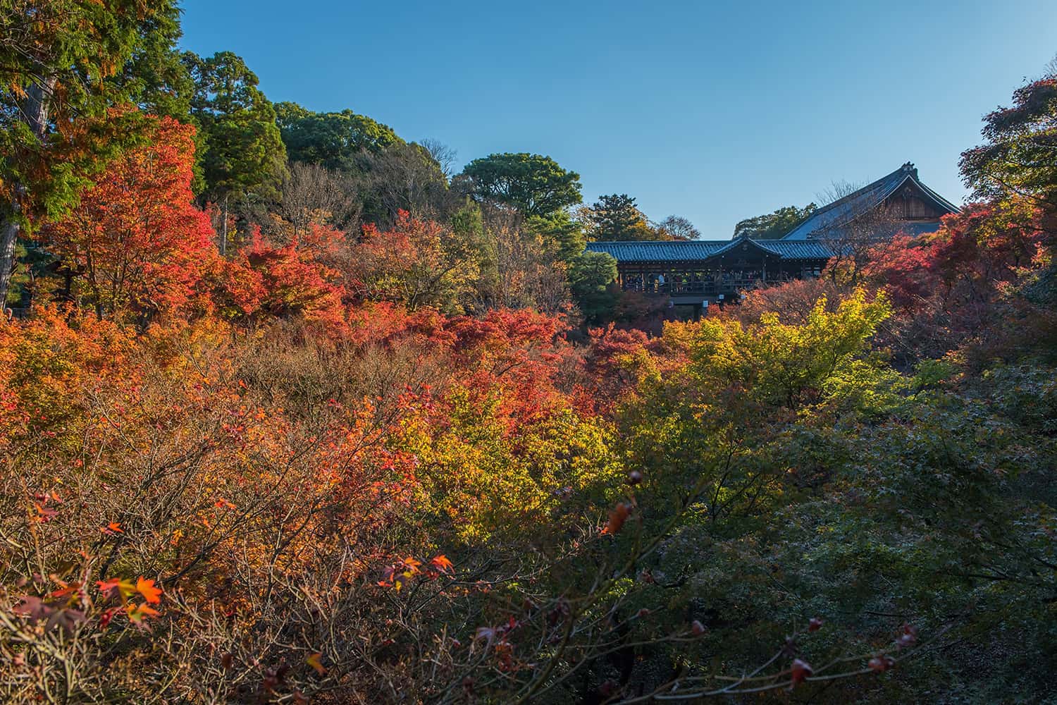 Đền Tofukuji - Kyoto