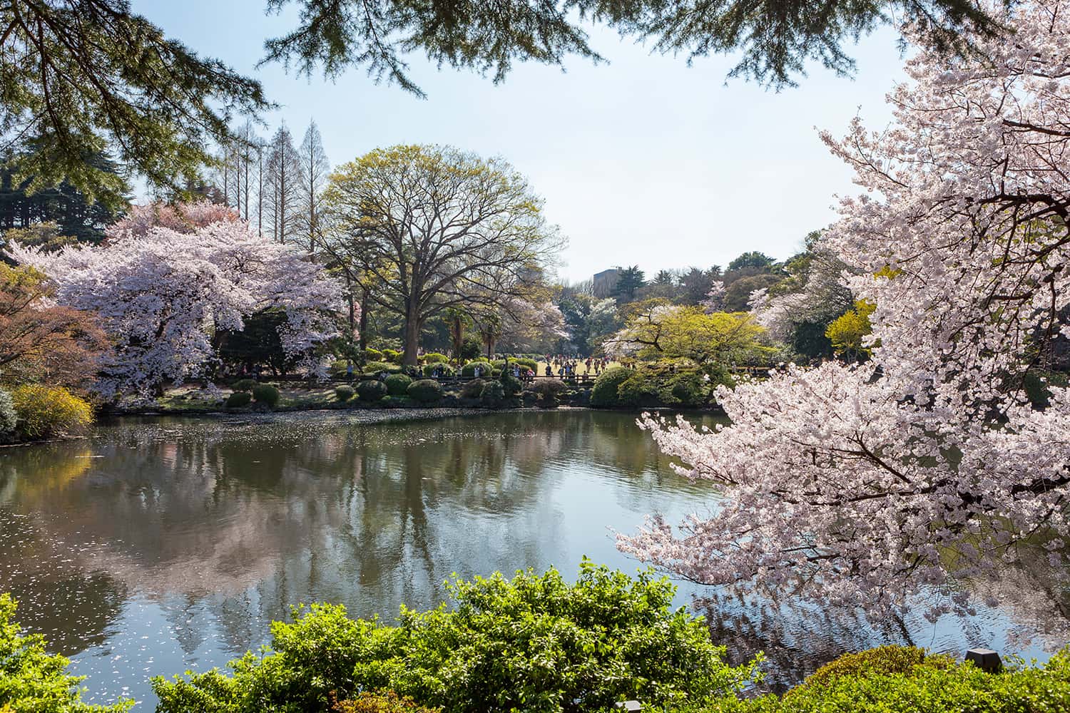 Vườn Quốc Gia Shinjuku Gyoen