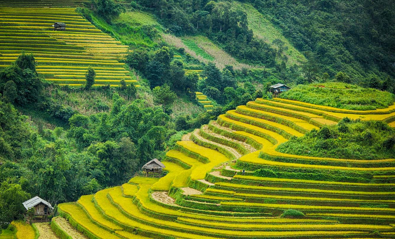 Ruộng bậc thang Tú Lệ