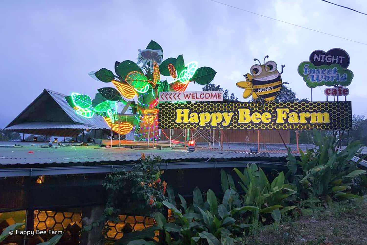 Trang trại ong Propolis