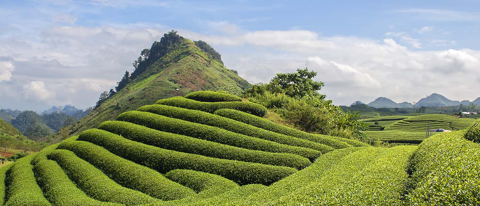 Kinh nghiệm du lịch Mộc Châu, Sơn La
