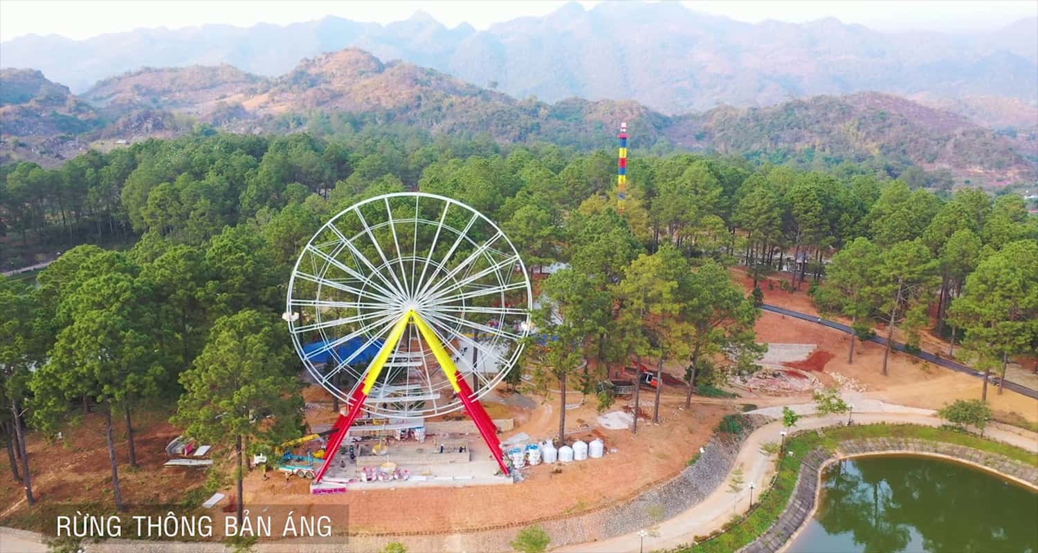 Rừng thông Bản Áng
