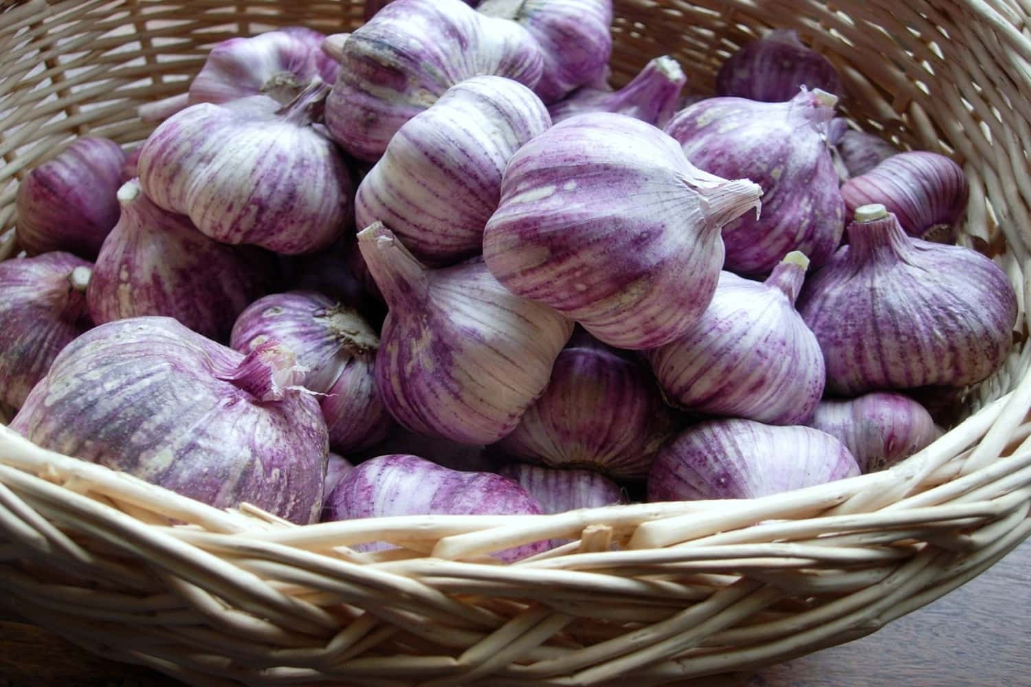 Tỏi tía Loóng Luông