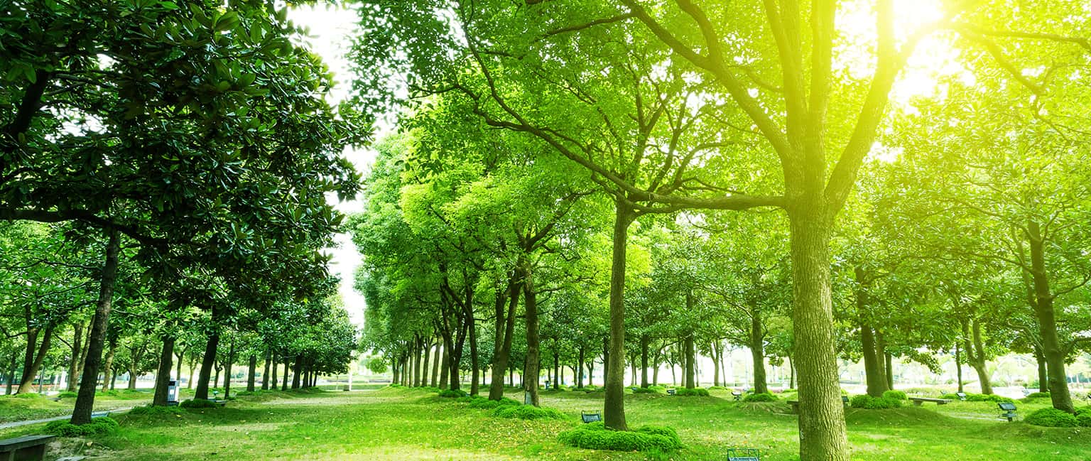 Top 5 công viên xinh đẹp nhất Busan, Hàn Quốc