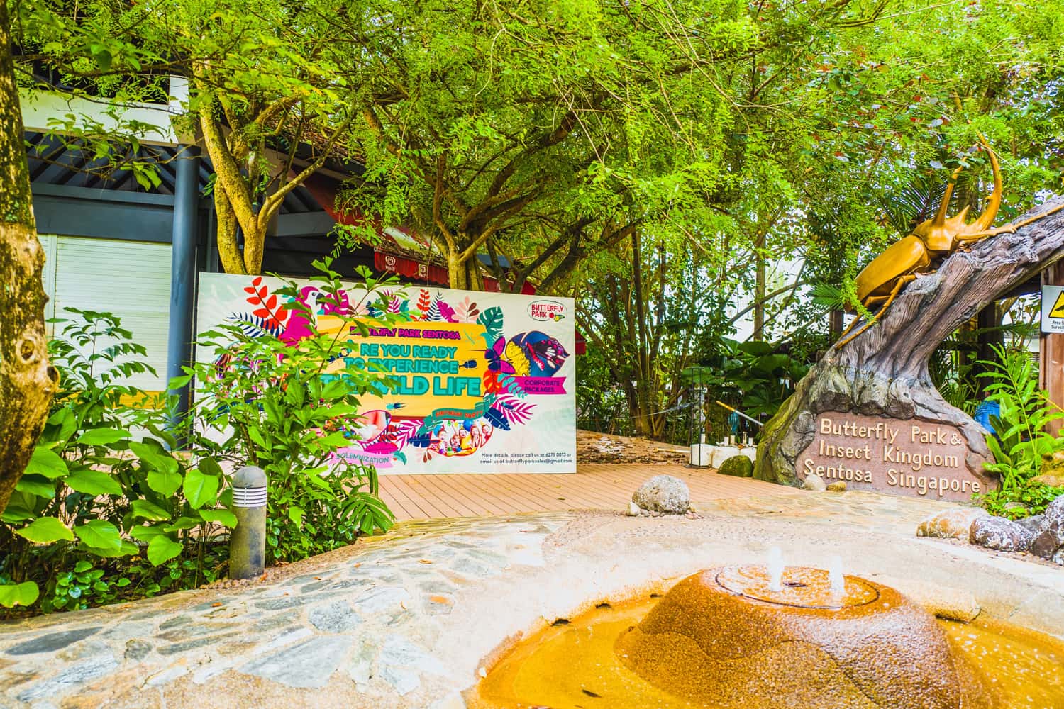 Butterfly Park & Insect Kingdom – Công viên bướm và Vương quốc côn trùng