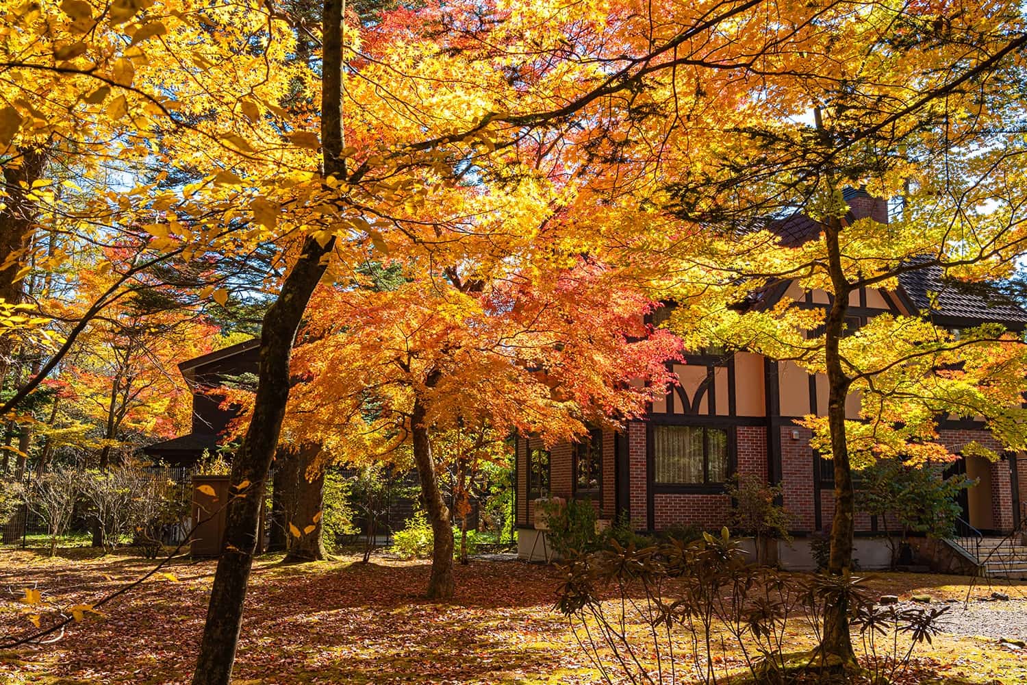 Thị trấn nghỉ dưỡng Karuizawa