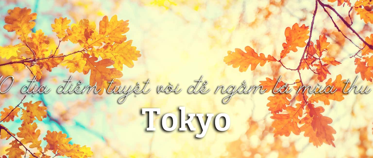 Top 10 địa điểm tuyệt vời để ngắm lá mùa thu ở Tokyo