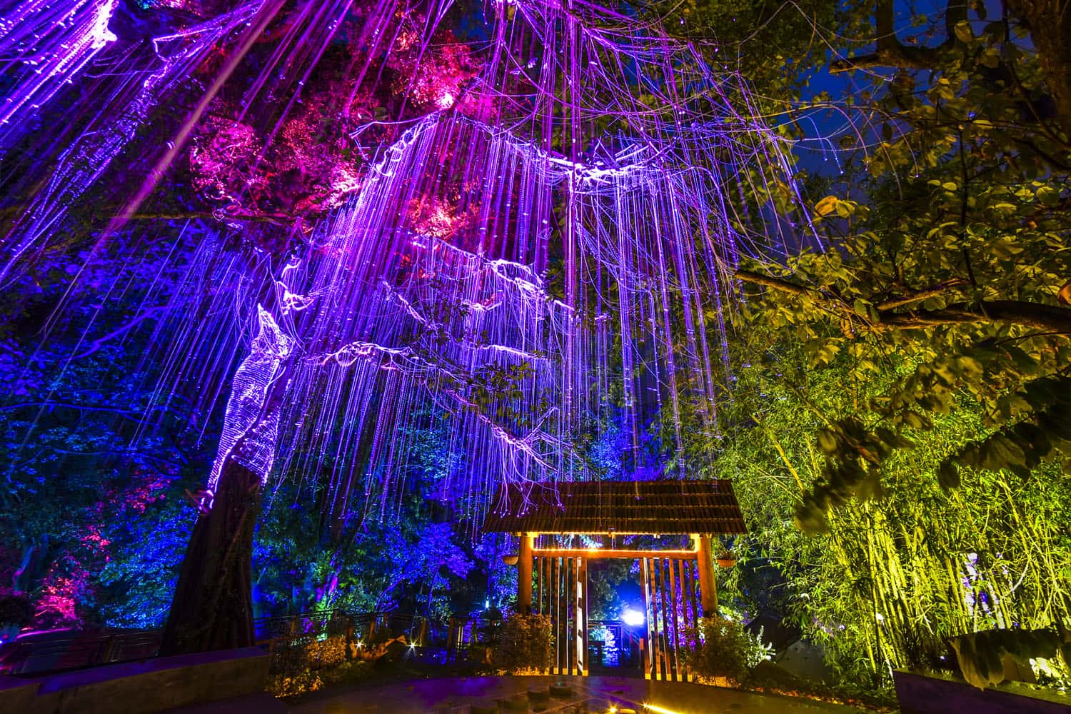  Đi chơi ở Avatar Garden