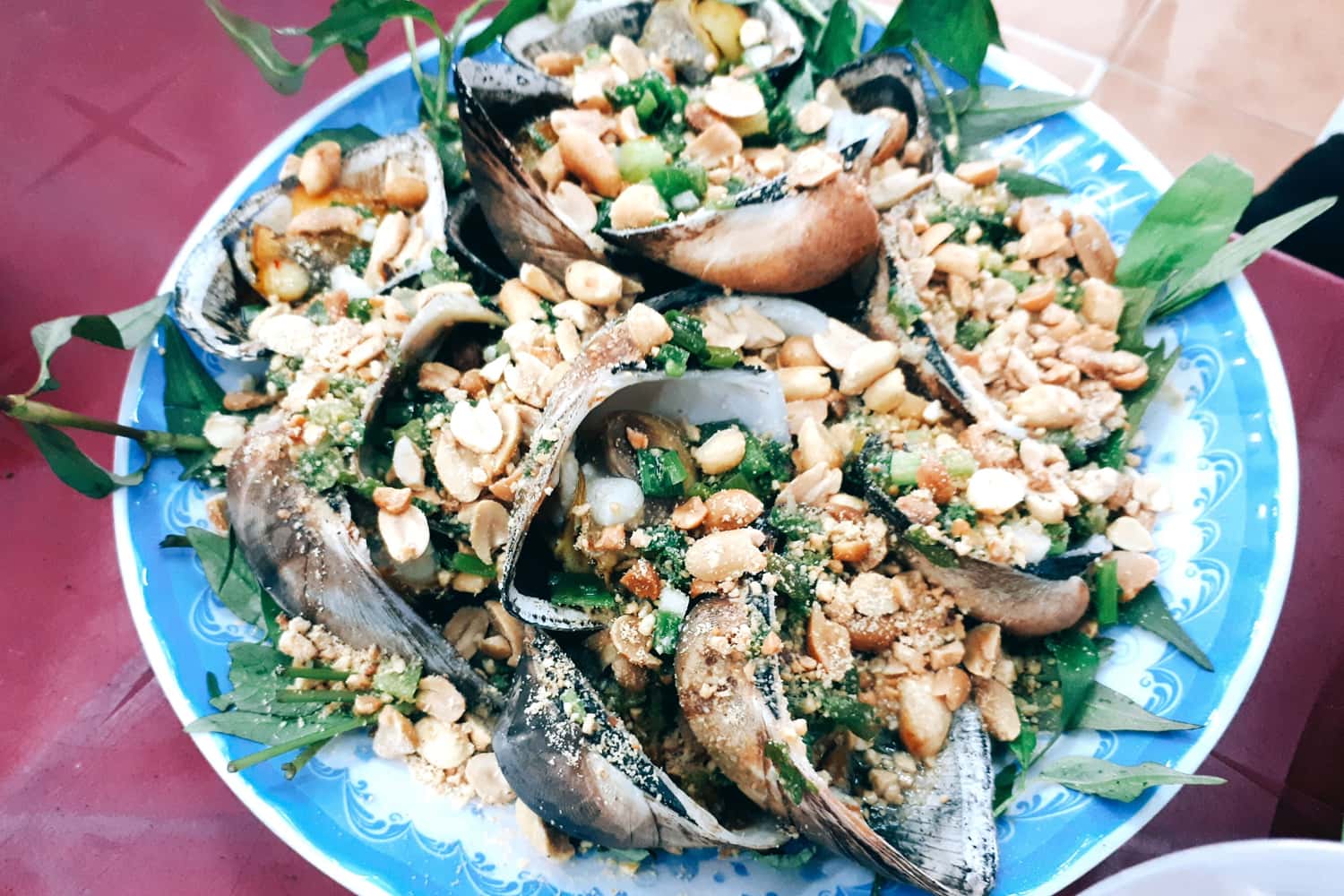 Ốc Tô