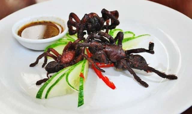 Tarantula