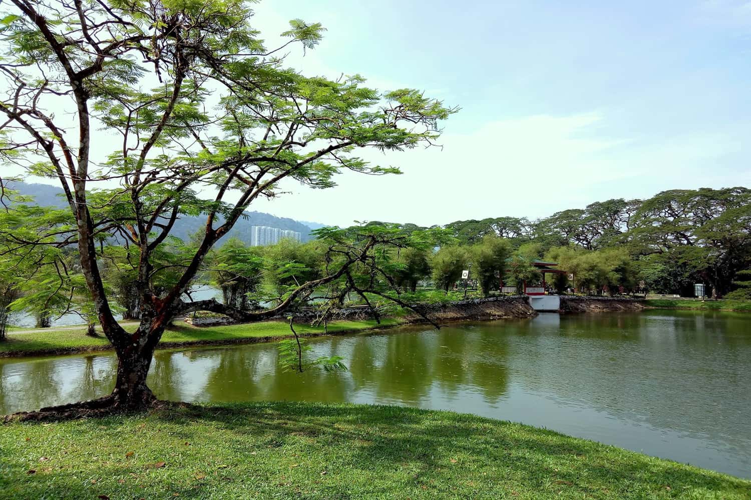 Hồ Taiping
