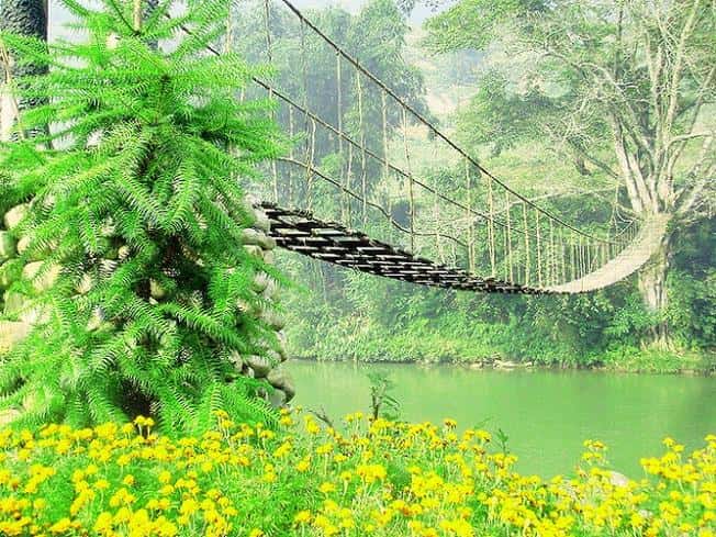 Cầu Mây