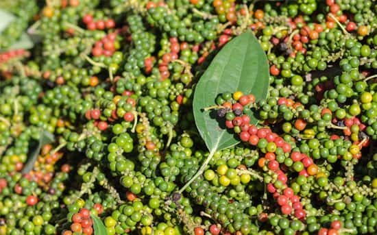 Kampot pepper