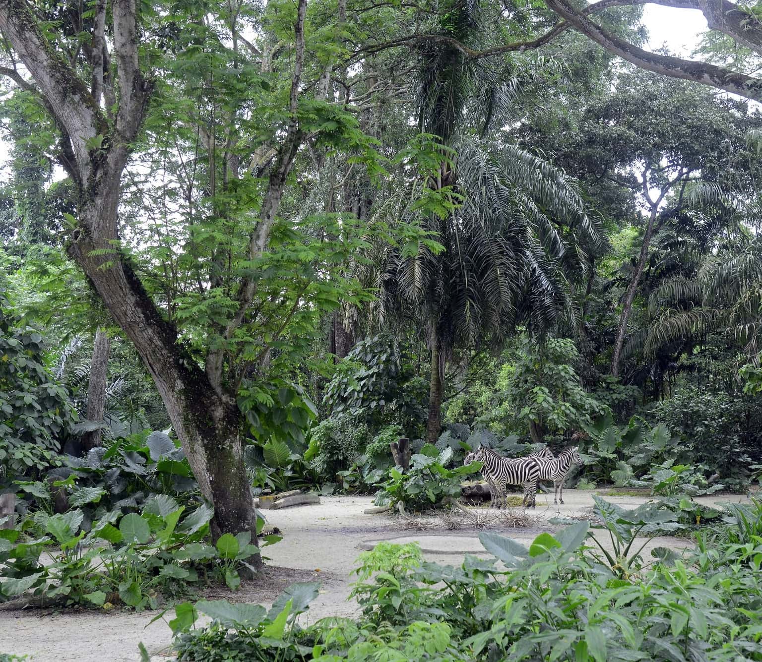 Sentosa Nature Discovery