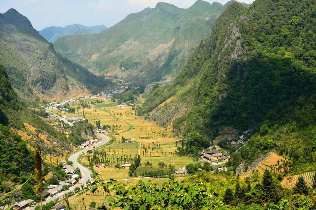 Thung lũng Sủng Là với những cánh đồng hoa tam giác mạch tuyệt đẹp