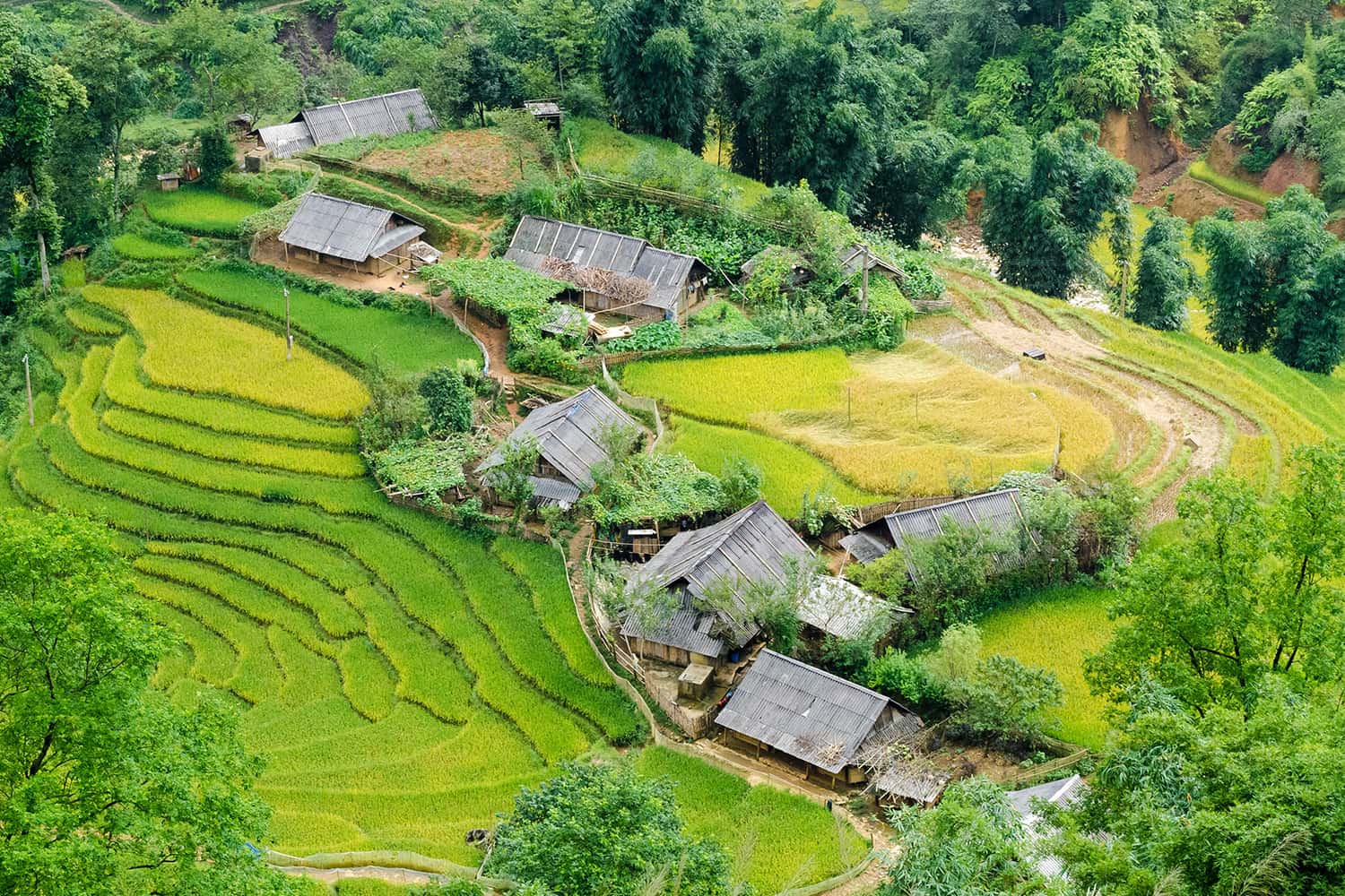 Thung lũng Mường Hoa