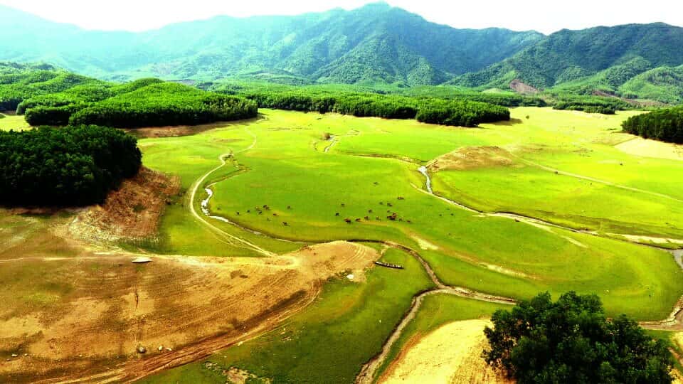 Hồ Hòa Trung