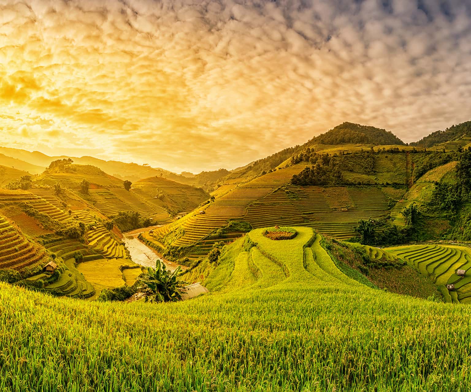 Du lịch Sapa vào tháng 9 đến tháng 11 hoặc tháng 3 đến tháng 5