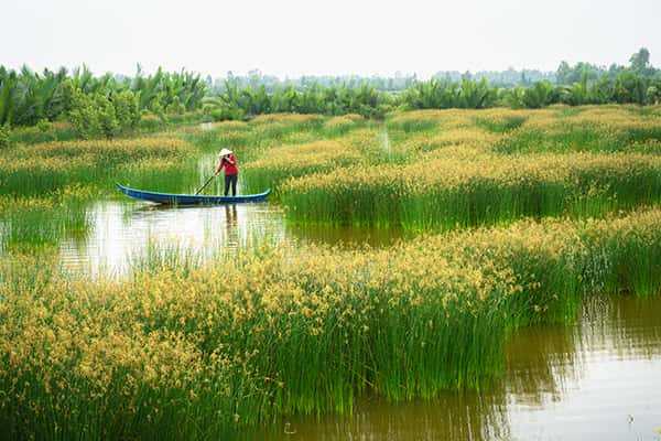 Kinh nghiệm du lịch Cần Thơ 3 ngày 2 đêm từ A - Z