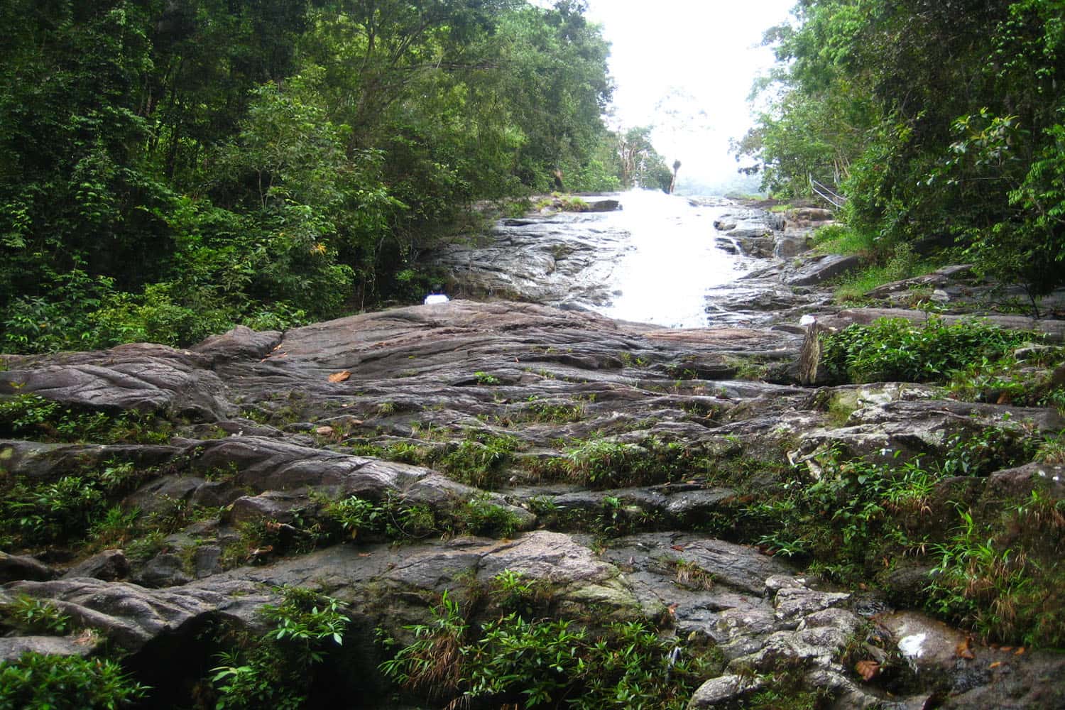 Công viên quốc gia Gunung Ledang