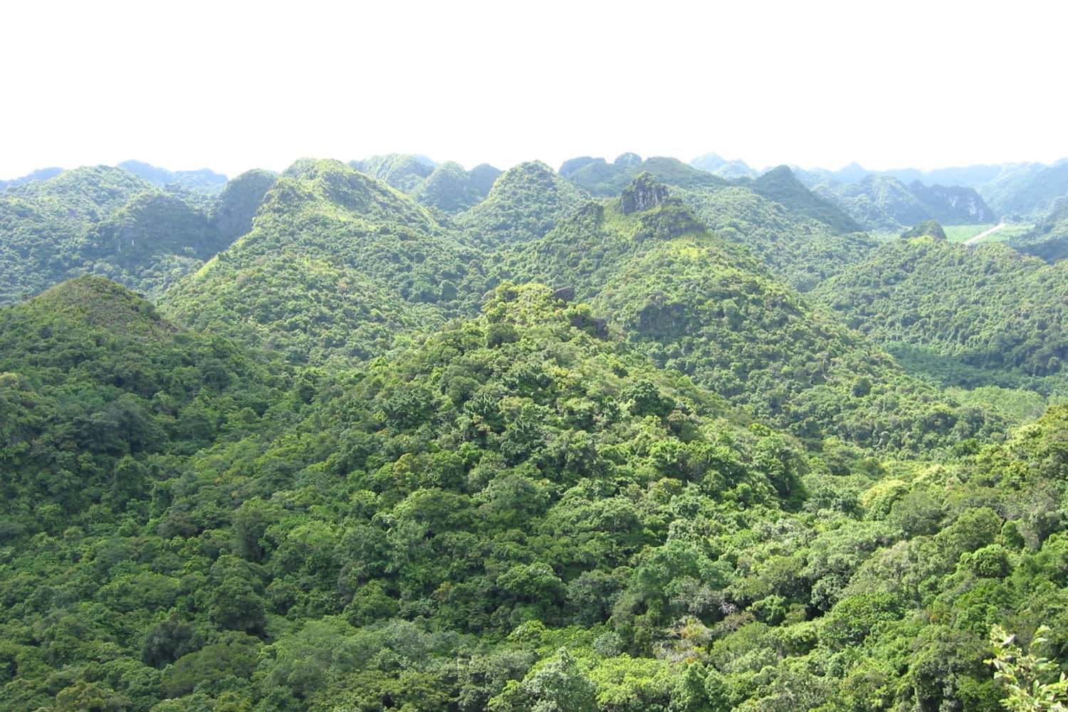 Vườn quốc gia Cát Bà