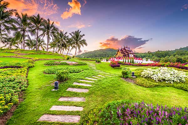 Kinh nghiệm du lịch Chiang Mai 2 ngày 1 đêm