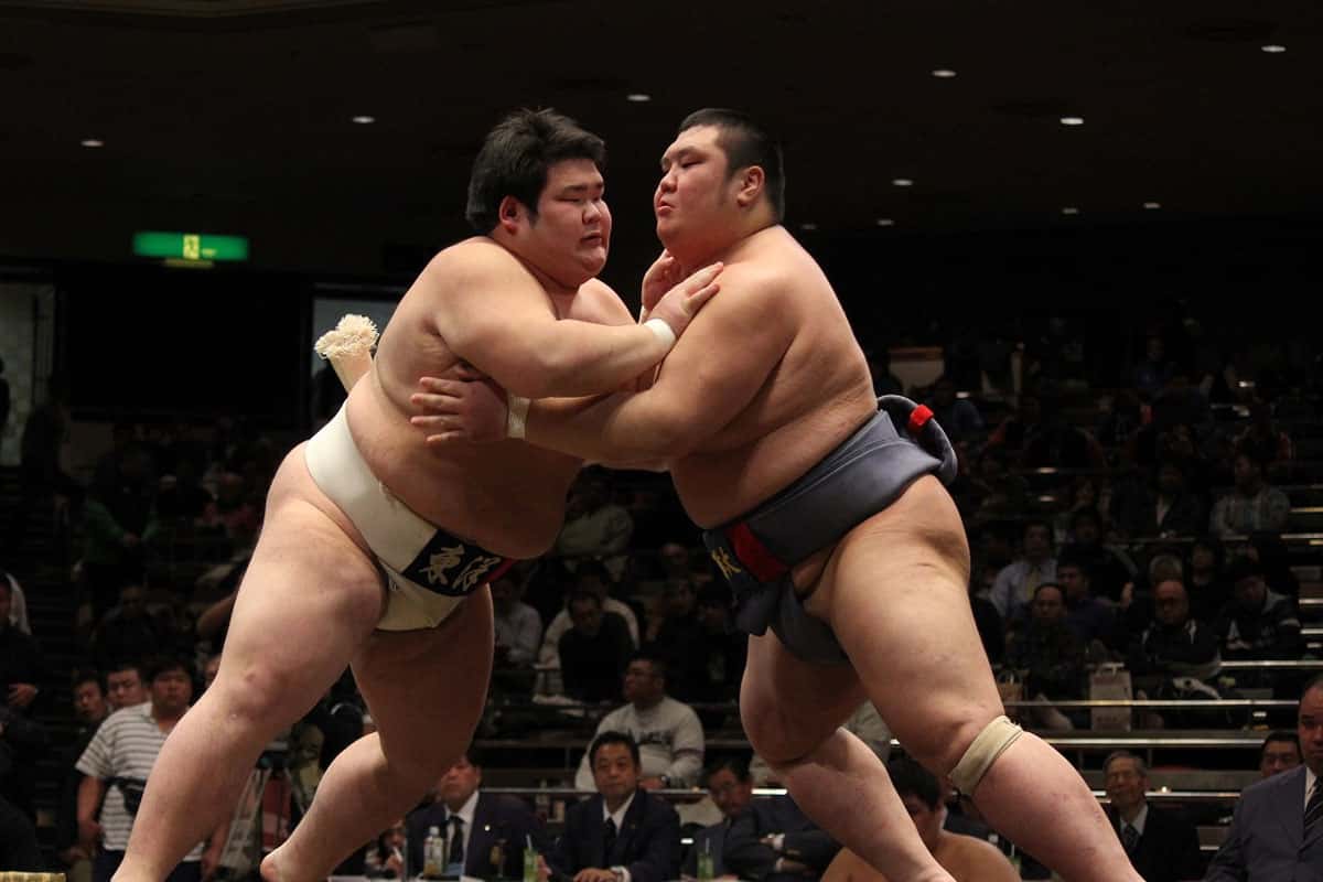 Xem đấu vật Sumo