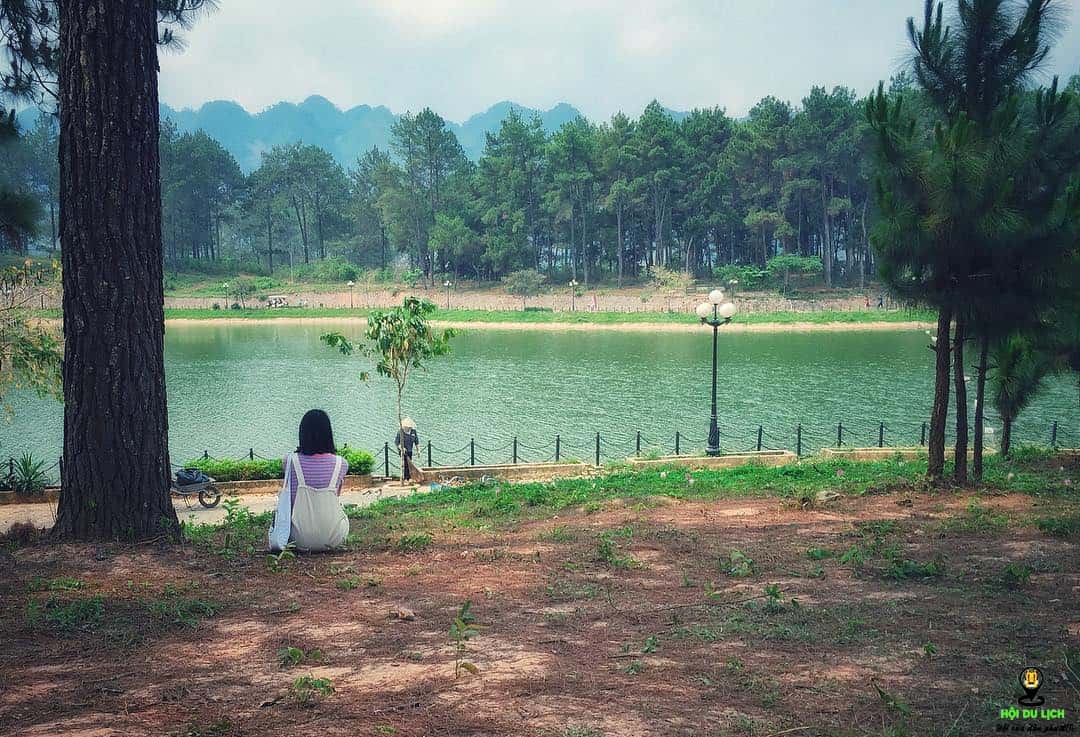 Rừng thông bản Áng