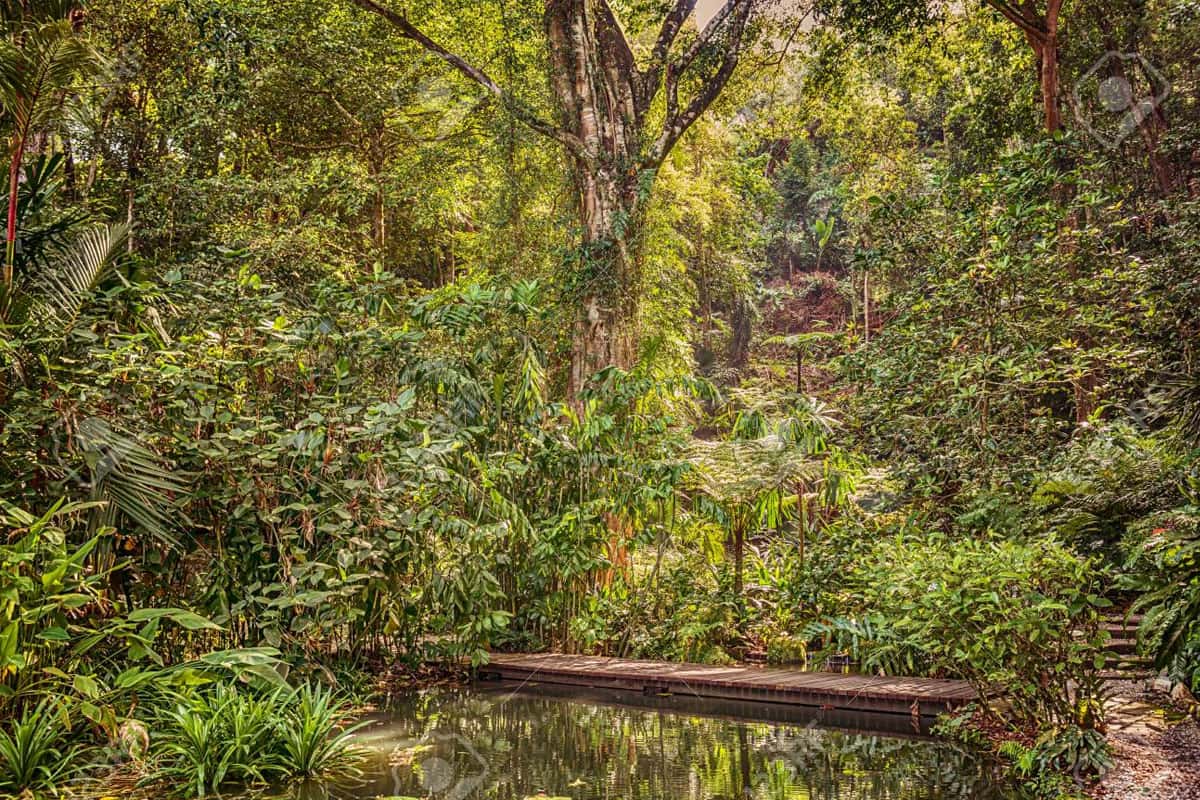  Tropical spice garden 