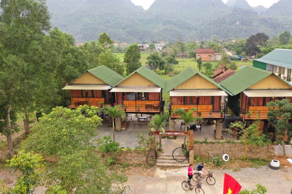 Homestay Jungle Boss