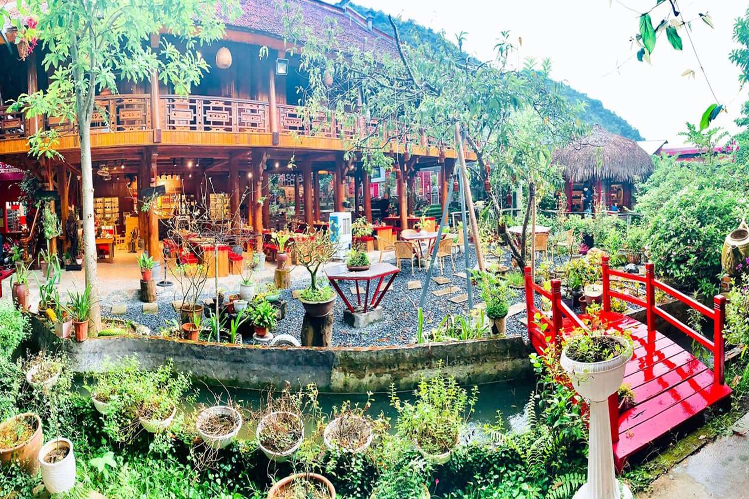 Maison Tea House Homestay Hà Giang