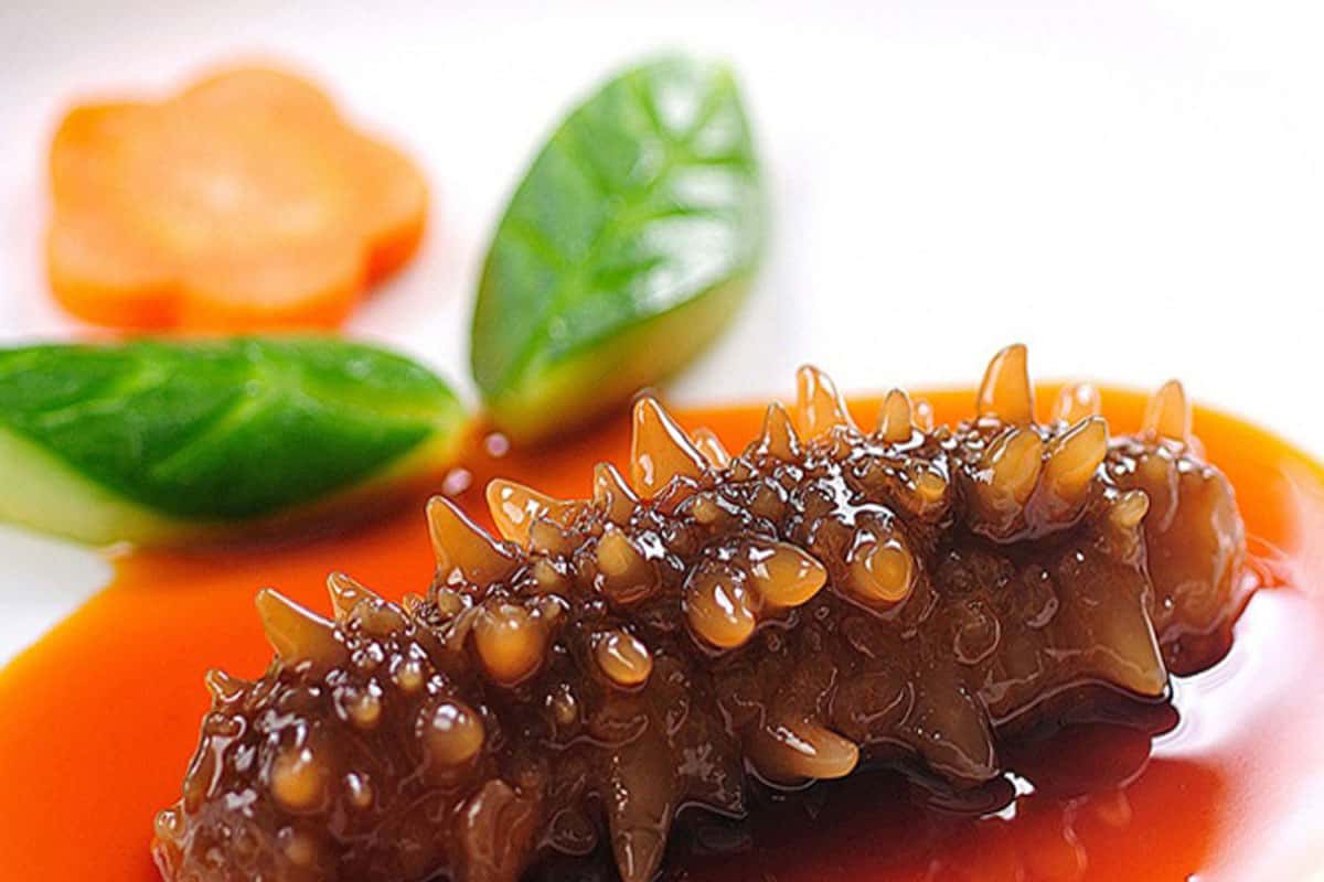 Hải sâm Phú Quốc