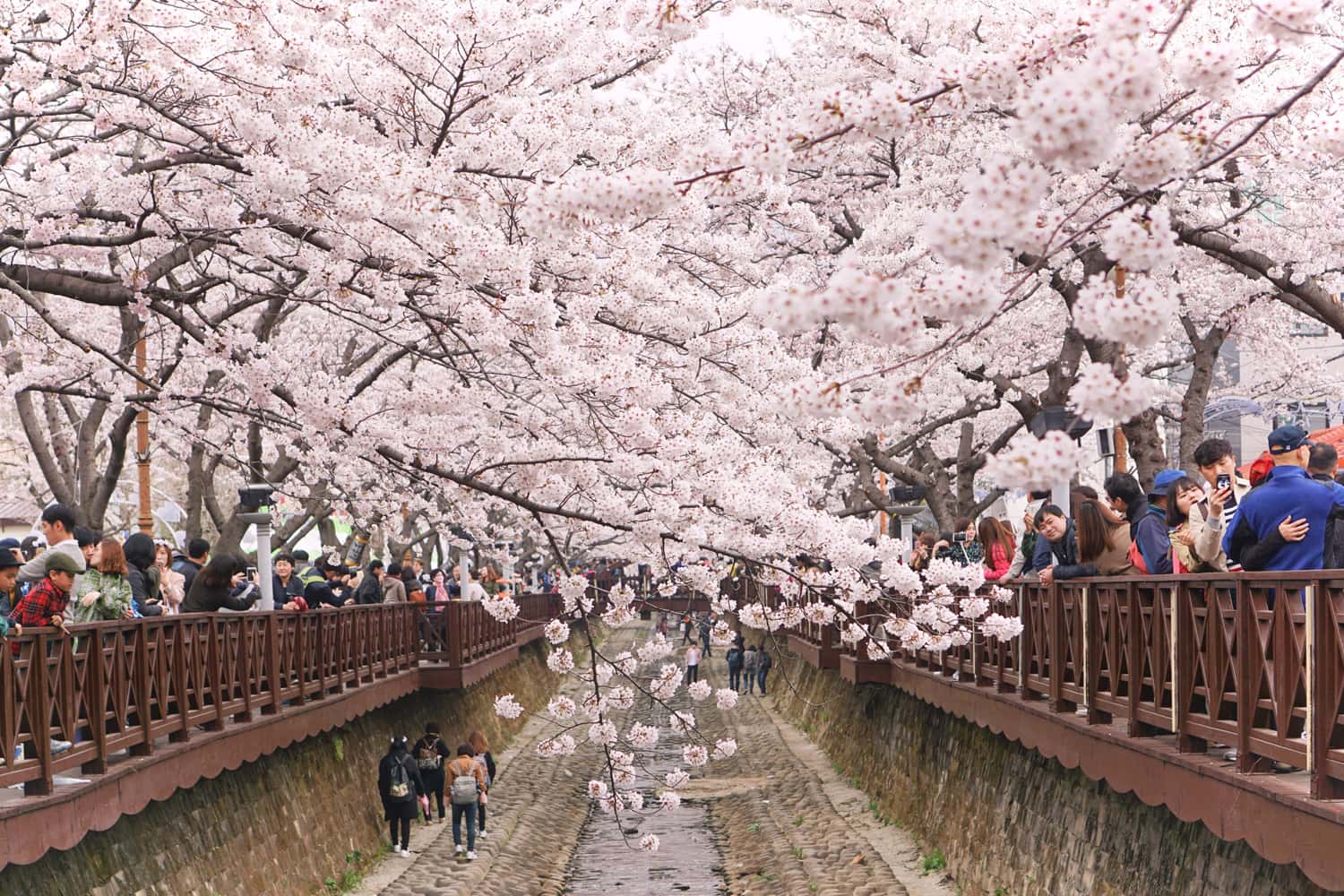 Jinhae