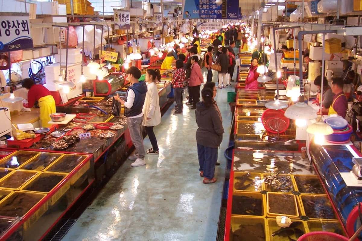 Nhà hàng tại Millak Fish Town