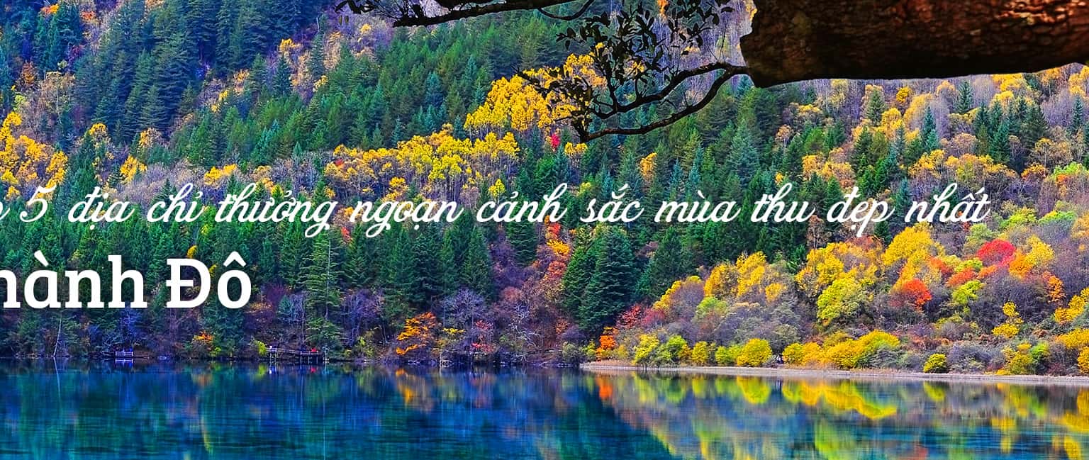 Top 5 địa điểm ngắm cảnh mùa thu ở Thành Đô