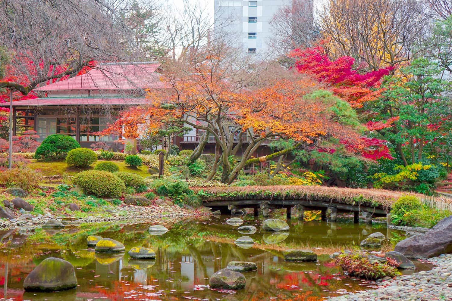 Vườn Koishikawa Korakuen 