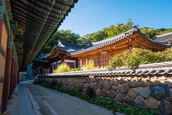 Top 10 trải nghiệm thú vị khi du lịch Daegu, Hàn Quốc