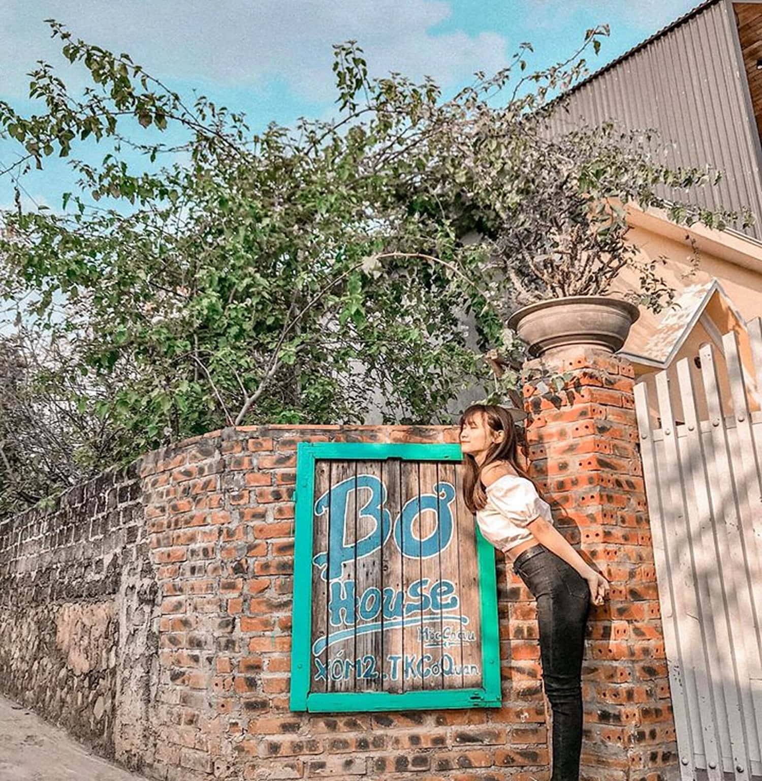 Bơ House Mộc Châu