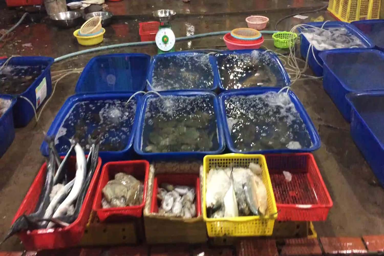 Hải sản tươi sống
