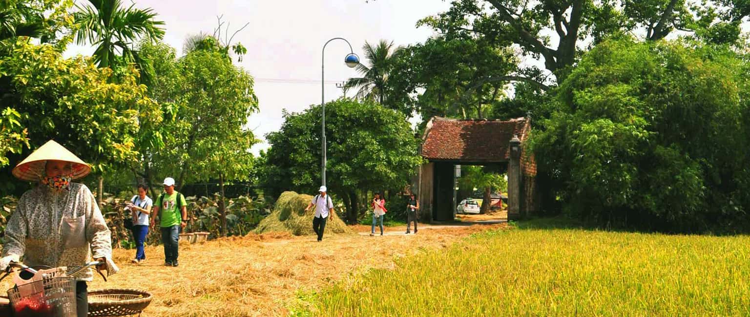 Làng cổ đường Lâm - Hướng dẫn du lịch chi tiết nhất