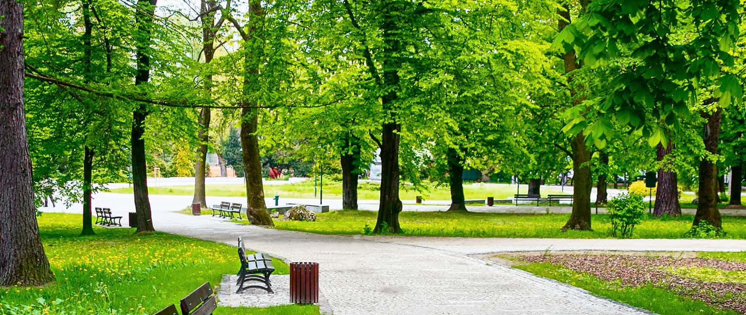 Hướng dẫn dã ngoại công viên Yên Sở trong 1 ngày
